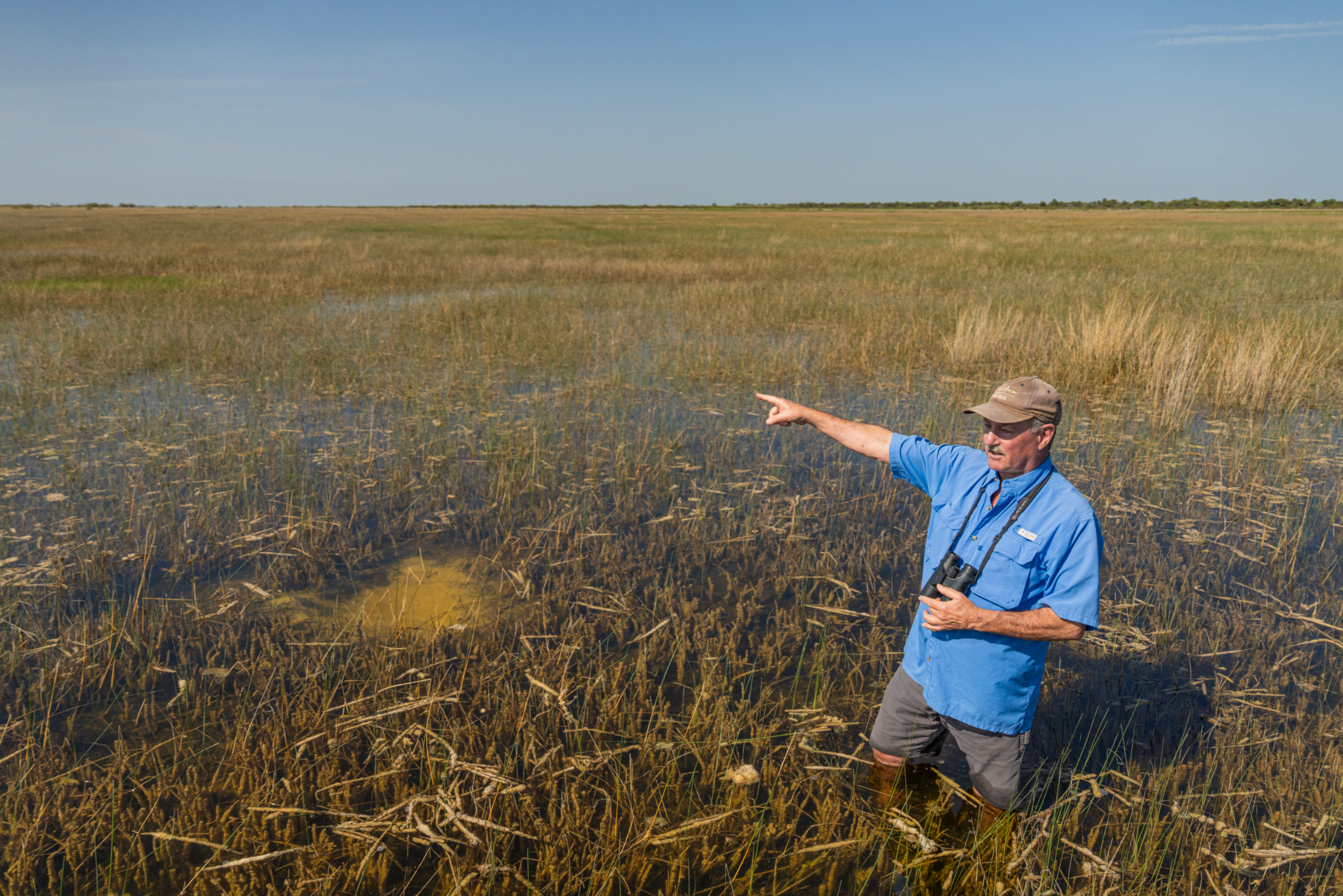 Paul Gray stands in the wetland, pointing